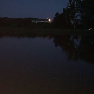 Meet your Posher, Gabby